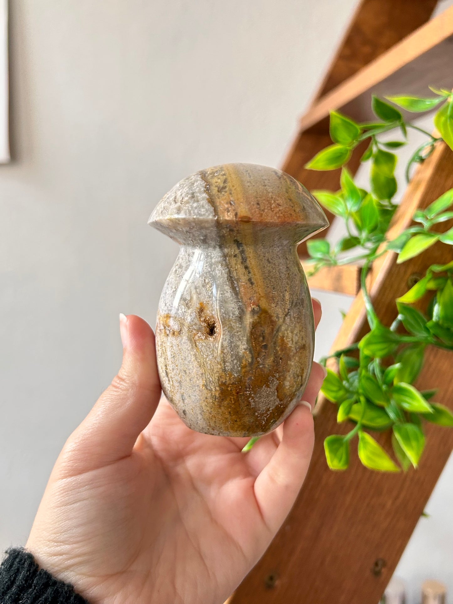 Ocean Jasper Mushroom
