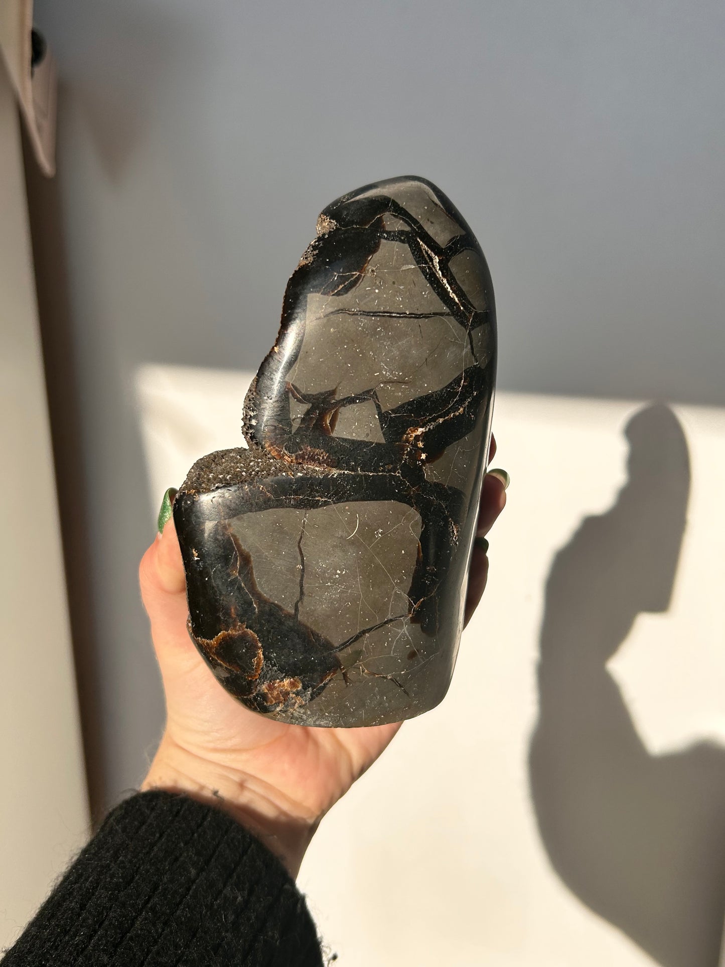 Septarian Freeform