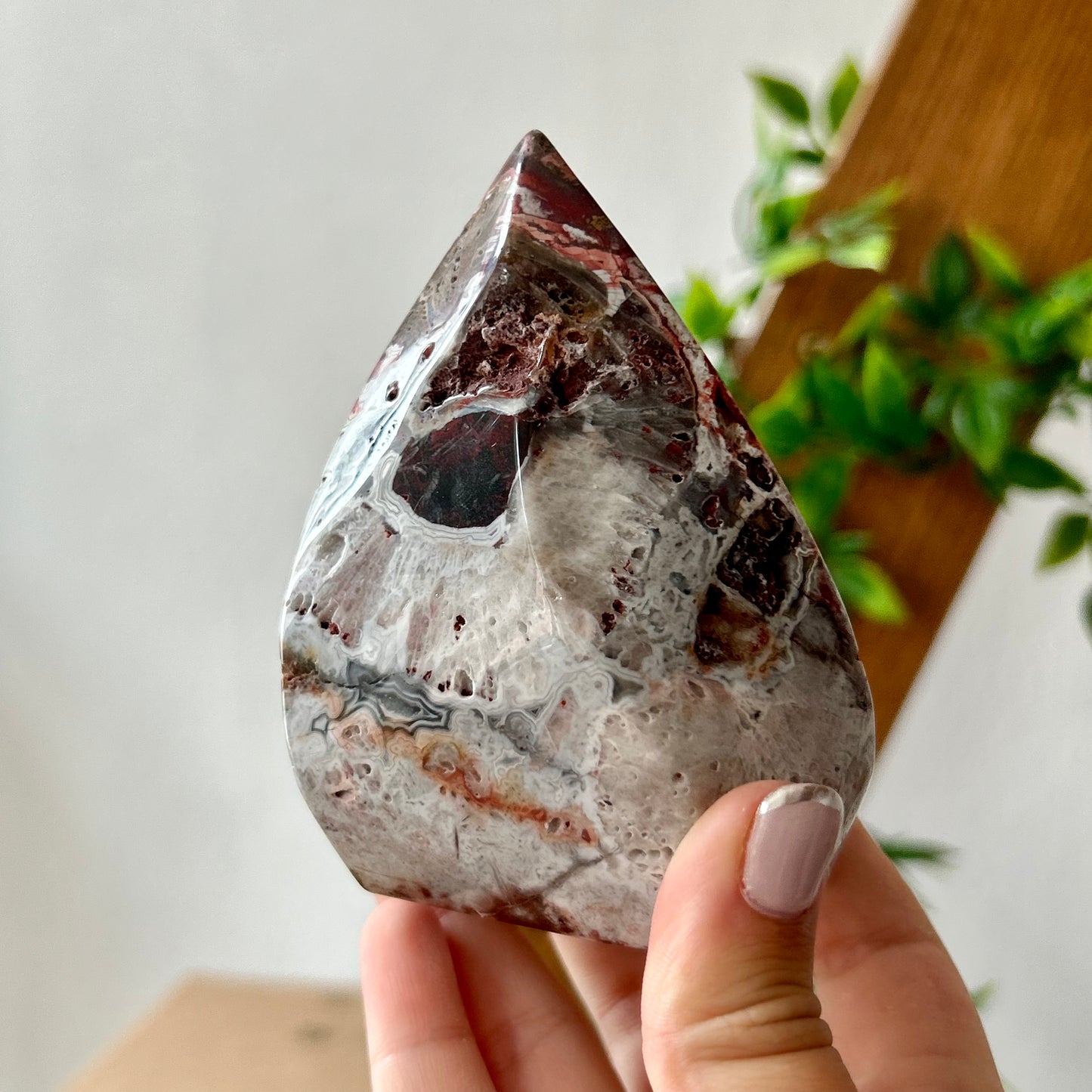 Mexican Crazy Lace Agate Freeform