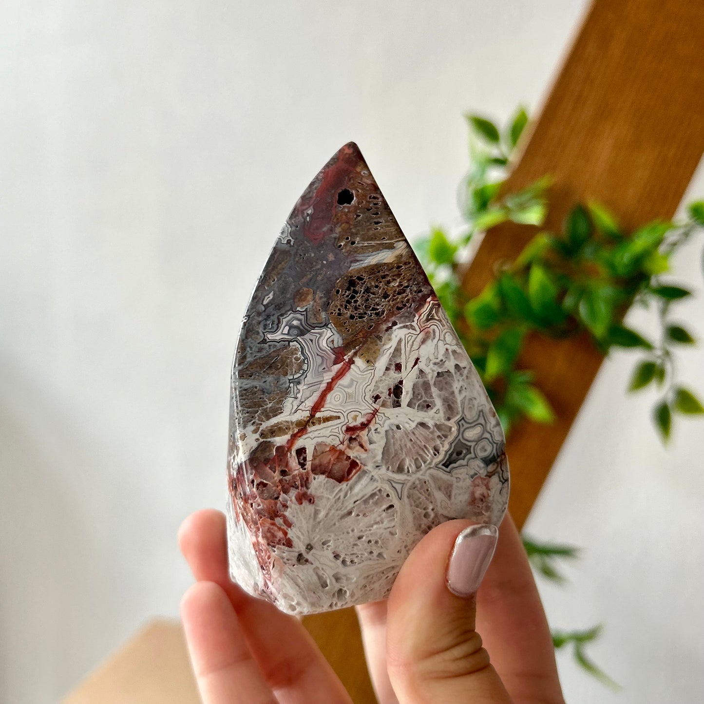 Mexican Crazy Lace Agate Freeform