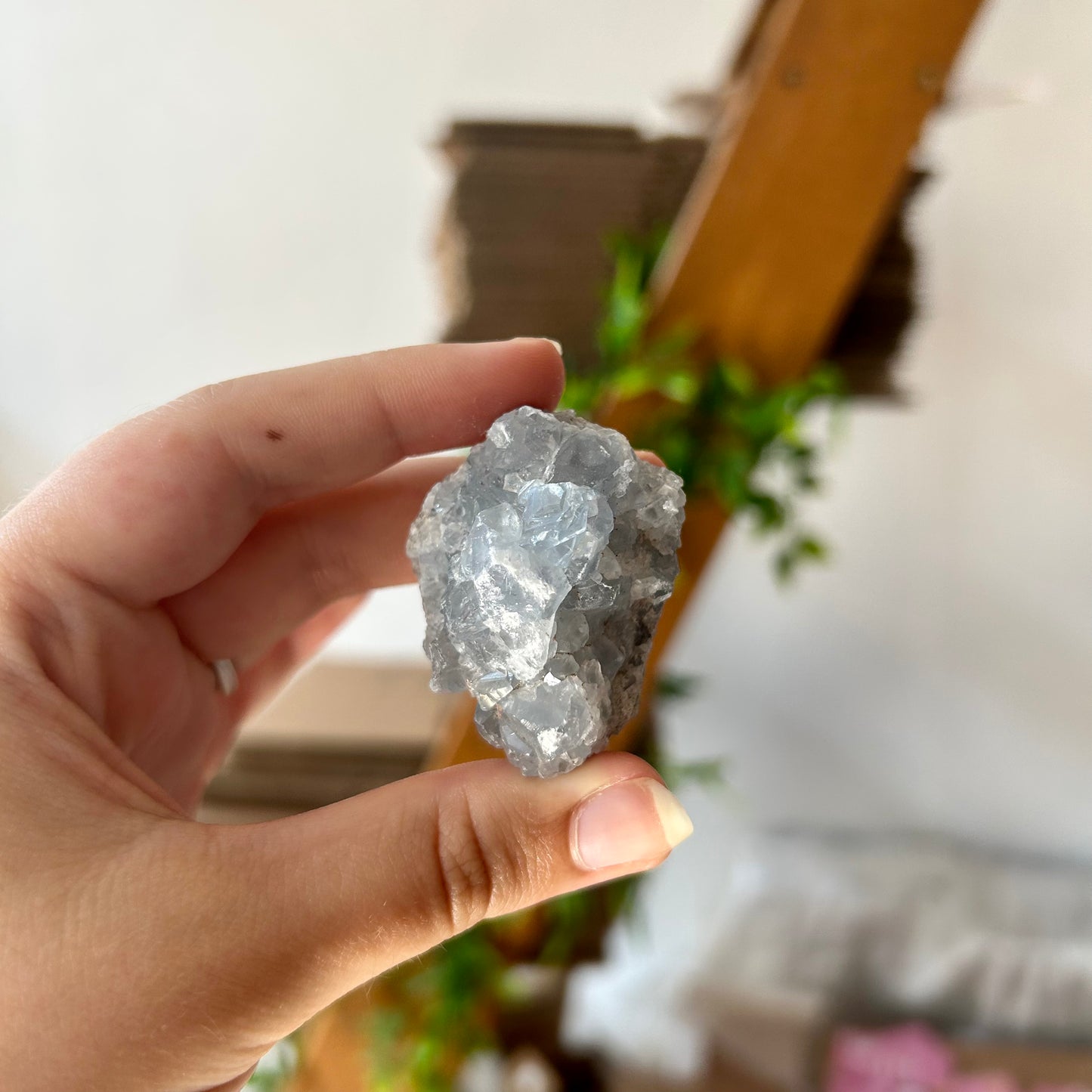 Celestite Cluster - Random Pick