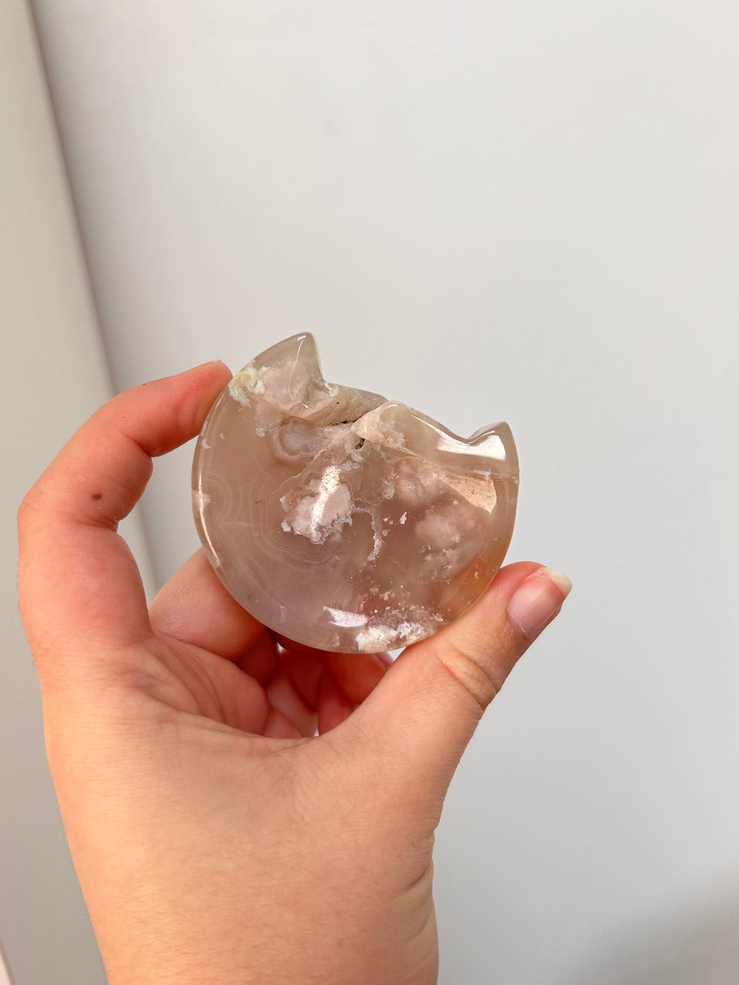 Flower Agate Cat - Imperfect
