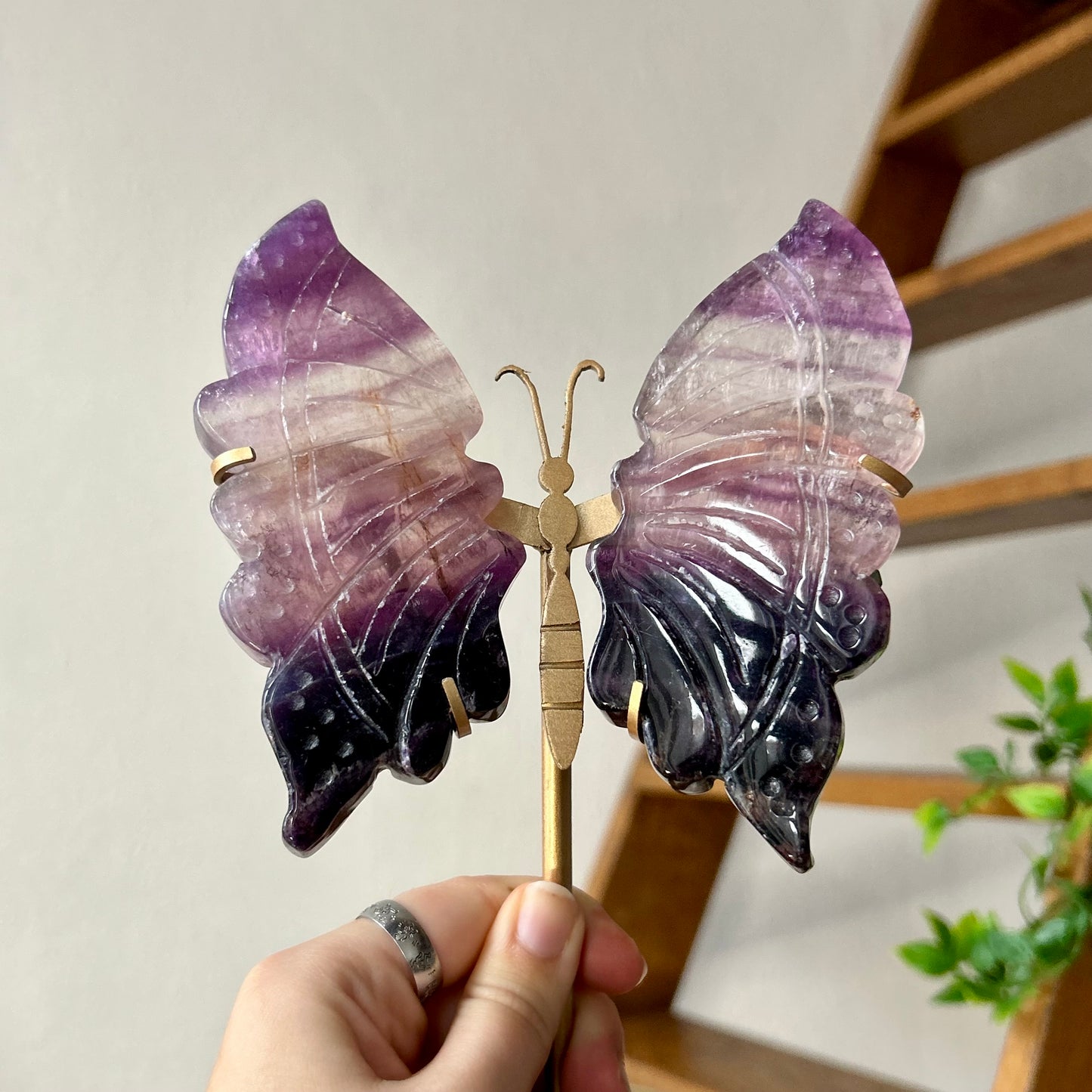 Fluorite Wings On Stand