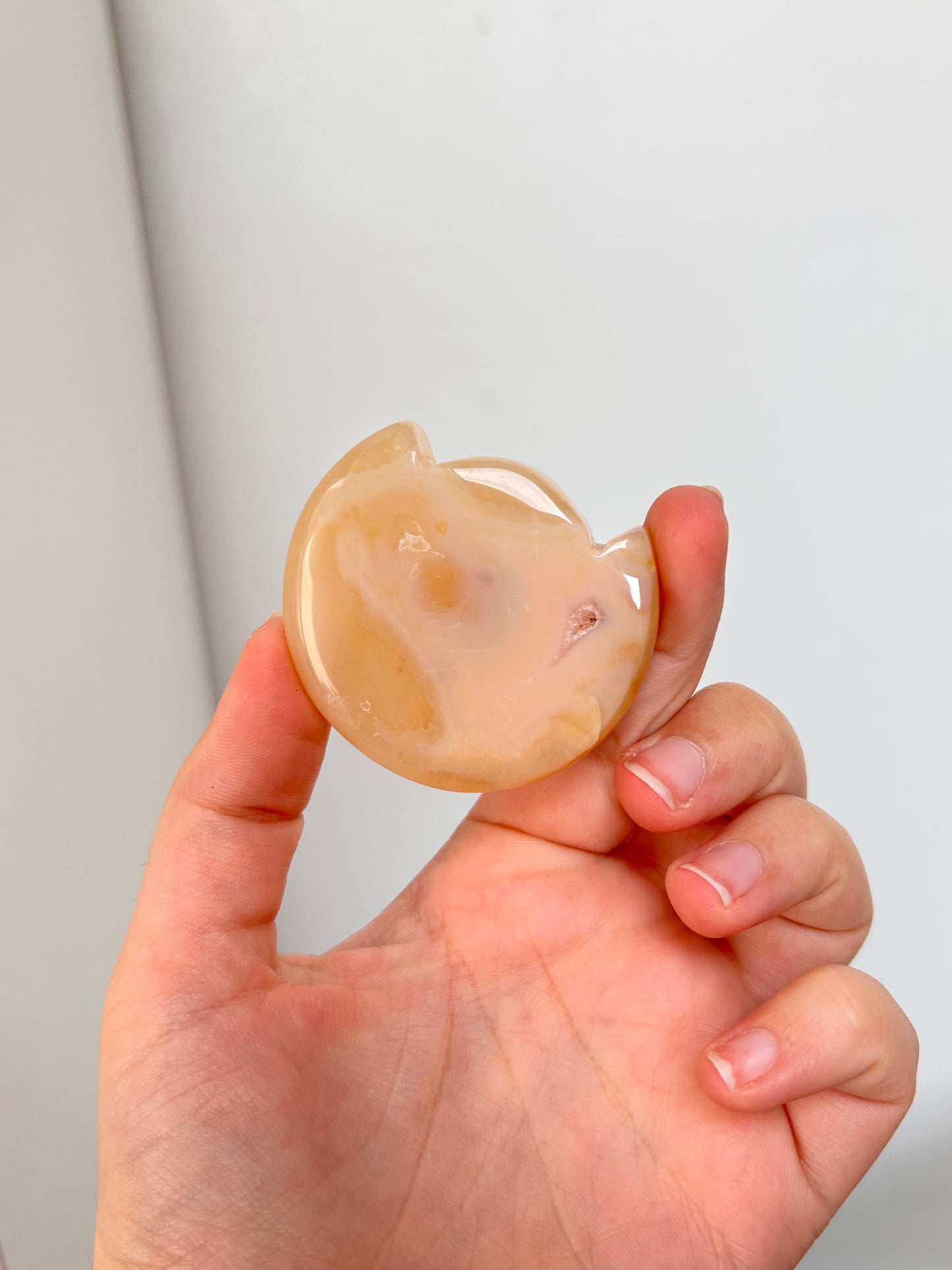Flower Agate Cat