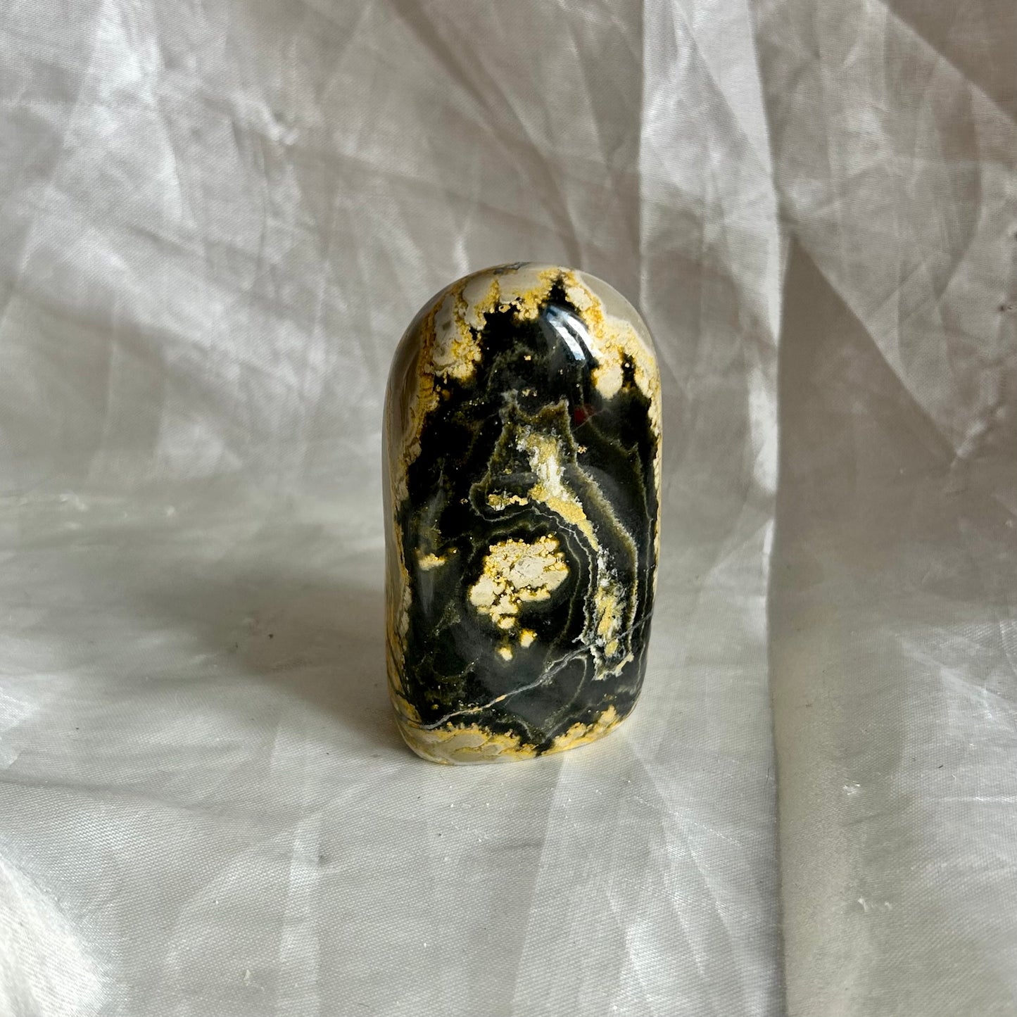 Bumblebee Jasper Freeform